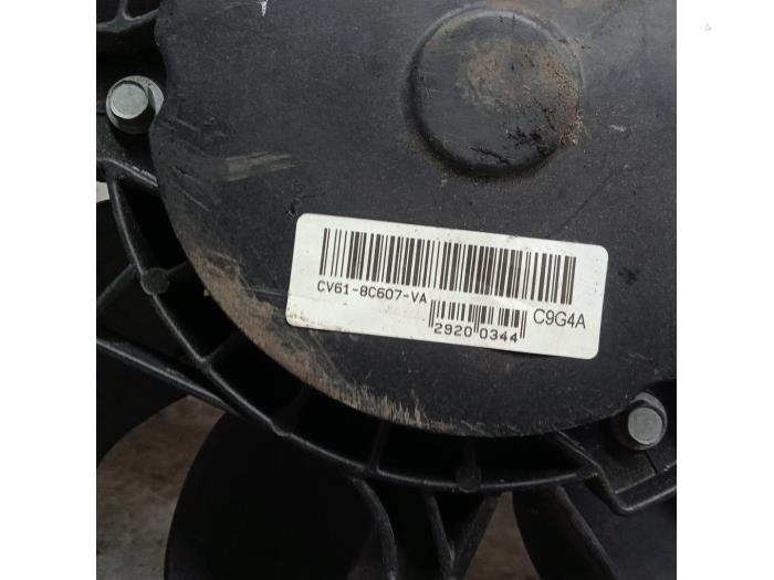 Koelvin van een Ford Focus 3 Wagon 1.0 Ti-VCT EcoBoost 12V 125 2013