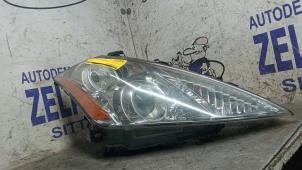 Gebruikte Koplamp rechts Nissan Murano Prijs € 152,25 Margeregeling aangeboden door Zelissen V.O.F. autodemontage