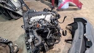 Gebruikte Motor Audi A4 Prijs € 1.048,95 Margeregeling aangeboden door Zelissen V.O.F. autodemontage