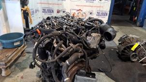 Gebruikte Motor Volkswagen Caddy III (2KA,2KH,2CA,2CH) 1.6 TDI 16V Prijs € 1.575,00 Margeregeling aangeboden door Zelissen V.O.F. autodemontage