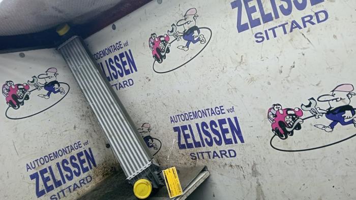 Gebruikte Intercooler Fiat Ducato (250) E-Ducato Prijs € 131,25 Margeregeling aangeboden door Zelissen V.O.F. autodemontage