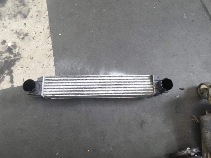 Gebruikte Intercooler Opel Antara (LA6) 2.0 CDTI 16V 4x4 Prijs op aanvraag aangeboden door Bongers Auto-Onderdelen Zeeland