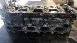 Gebruikte Cilinderkop Ford Focus Prijs op aanvraag aangeboden door Bongers Auto-Onderdelen Zeeland