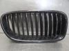 BMW 5-Serie Grille