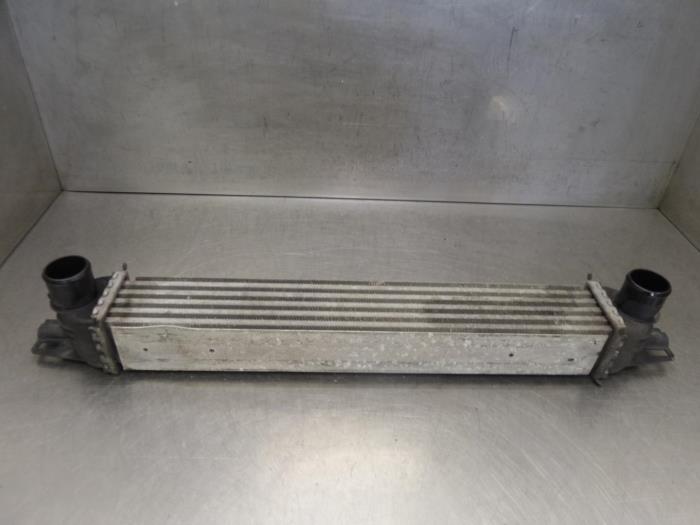 Gebruikte Intercooler Peugeot Bipper Tepee (AJ) 1.4 HDi Prijs op aanvraag aangeboden door Bongers Auto-Onderdelen Zeeland