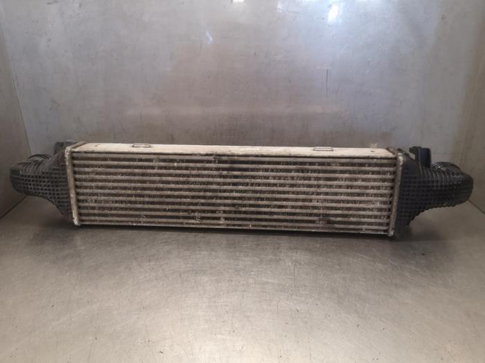 Gebruikte Intercooler Mercedes GLK (204.7/9) 2.2 220 CDI 16V BlueEfficiency Prijs op aanvraag aangeboden door Bongers Auto-Onderdelen Zeeland