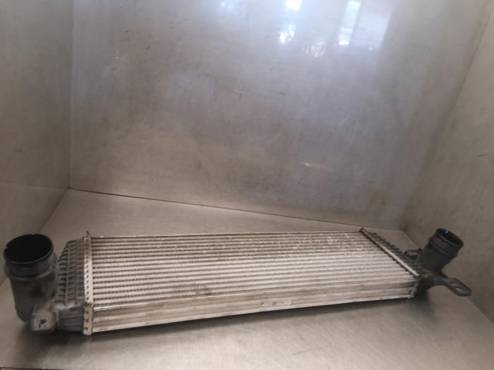 Gebruikte Intercooler Volkswagen Multivan T5 (7E/7HC/7HF/7HM) 2.0 BiTDI DRF Prijs op aanvraag aangeboden door Bongers Auto-Onderdelen Zeeland