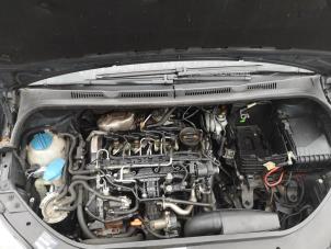 Gebruikte Motor Volkswagen Golf Plus (5M1/1KP) 1.6 TDI 16V 105 Prijs op aanvraag aangeboden door Bongers Auto-Onderdelen Zeeland
