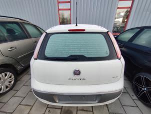 Gebruikte Achterklep Fiat Punto Evo (199) 1.3 JTD Multijet 85 16V Euro 5 Prijs op aanvraag aangeboden door Bongers Auto-Onderdelen Zeeland
