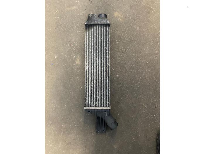 Gebruikte Intercooler Ssang Yong Rodius 2.0 e-200 Xdi 16V 4WD Prijs op aanvraag aangeboden door Bongers Auto-Onderdelen Zeeland