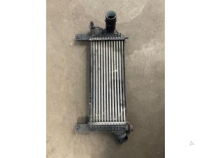 Gebruikte Intercooler Nissan Pathfinder (R51) Prijs op aanvraag aangeboden door Bongers Auto-Onderdelen Zeeland
