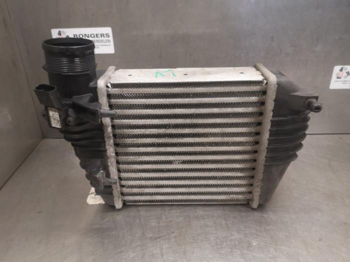 Gebruikte Intercooler Audi A6 Avant (C6) 2.7 TDI V6 24V Prijs op aanvraag aangeboden door Bongers Auto-Onderdelen Zeeland