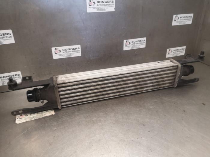 Intercooler Opel Corsa D, 2006 / 2014 1.3 CDTi 16V ecoFLEX, Hatchback, Diesel, 1,248cc, 70kW (95pk), FWD, A13DTE, 2010-10 / 2014-12 (Gebruikt)