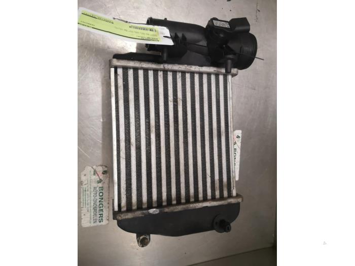 Gebruikte Intercooler Audi A6 Avant (C6) 3.0 TDI V6 24V Quattro Prijs op aanvraag aangeboden door Bongers Auto-Onderdelen Zeeland
