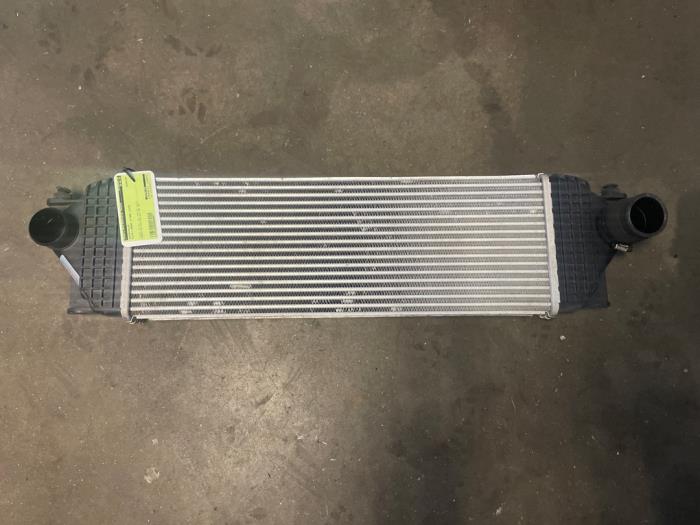 Gebruikte Intercooler Suzuki Grand Vitara II (JT) 1.9 DDiS Prijs op aanvraag aangeboden door Bongers Auto-Onderdelen Zeeland