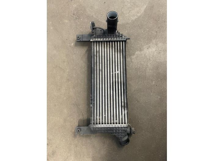 Gebruikte Intercooler Nissan Pathfinder (R51) 2.5 dCi 16V 4x4 Prijs op aanvraag aangeboden door Bongers Auto-Onderdelen Zeeland