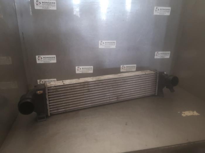 Gebruikte Intercooler Ford S-Max (GBW) 2.0 Ecoboost 16V Prijs op aanvraag aangeboden door Bongers Auto-Onderdelen Zeeland