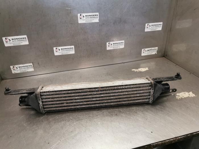 Gebruikte Intercooler Fiat Grande Punto (199) 1.3 JTD Multijet 16V Prijs op aanvraag aangeboden door Bongers Auto-Onderdelen Zeeland