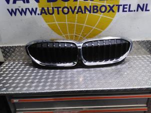Gebruikte Grille BMW 3 serie (G20) 320d xDrive 2.0 TwinPower Turbo 16V Prijs € 635,25 Inclusief btw aangeboden door Autodemontagebedrijf van Boxtel