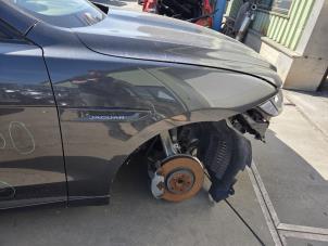 Gebruikte Spatbord rechts-voor Jaguar F-Pace 2.0 D 180 16V AWD Prijs € 262,50 Margeregeling aangeboden door Autodemontagebedrijf van Boxtel