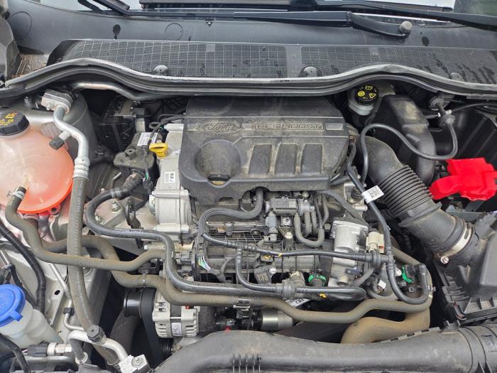 Gebruikte Motor Ford Fiesta 7 1.0 EcoBoost 12V Prijs € 1.575,00 Margeregeling aangeboden door Autodemontagebedrijf van Boxtel