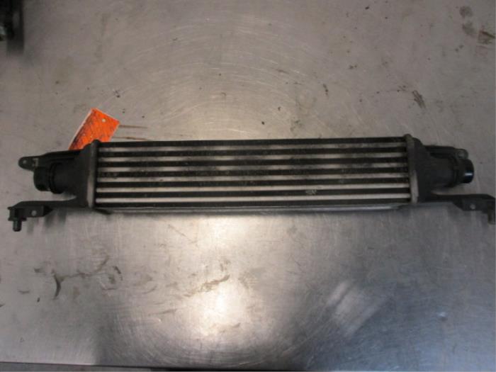 Intercooler Opel Corsa D, 2006 / 2014 1.3 CDTi 16V ecoFLEX, Hatchback, Diesel, 1,248cc, 70kW (95pk), FWD, A13DTE, 2010-10 / 2014-12 (Gebruikt)