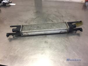 Gebruikte Intercooler Fiat Punto Evo (199) 1.3 JTD Multijet 85 16V Euro 5 Prijs € 40,00 Margeregeling aangeboden door Autobedrijf Brooks