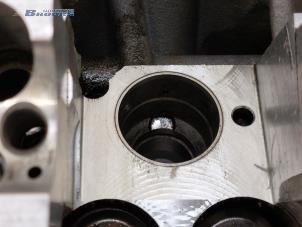 Cilinderkop van een Volkswagen Caddy III (2KA,2KH,2CA,2CH) 1.9 TDI 2008