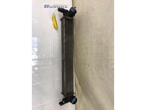 Gebruikte Intercooler Skoda Fabia II Combi 1.2 TDI 12V Greenline Prijs € 25,00 Margeregeling aangeboden door Autobedrijf Brooks