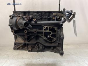 Gebruikte Motor Onderblok Volkswagen Caddy III (2KA,2KH,2CA,2CH) 1.9 TDI Prijs € 600,00 Margeregeling aangeboden door Autobedrijf Brooks