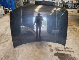 Gebruikte Motorkap Volkswagen Golf IV (1J1) 1.6 16V Prijs € 105,00 Margeregeling aangeboden door van de Bunte Teuge B.V.