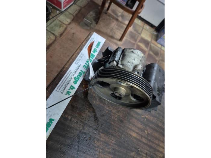 Pomp Servo van een Peugeot 206 (2A/C/H/J/S) 1.4 XR,XS,XT,Gentry 2006