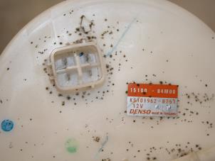 Gebruikte Benzinepomp Suzuki Celerio (LF) 1.0 12V Dualjet Prijs € 77,00 Margeregeling aangeboden door Van Gils Automotive