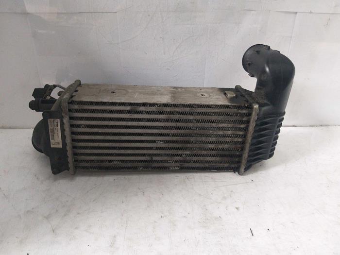 Gebruikte Intercooler Citroen C5 I Break (DE) 2.0 HDi 110 Prijs € 60,00 Margeregeling aangeboden door Van Gils Automotive