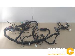 Gebruikte Bedrading Compleet Elektrisch Tesla Model S 90D Prijs € 604,99 Inclusief btw aangeboden door Van Gils Automotive