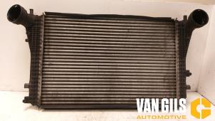 Gebruikte Intercooler Volkswagen Golf Plus (5M1/1KP) 1.4 TSI 140 16V Prijs € 100,00 Margeregeling aangeboden door Van Gils Automotive
