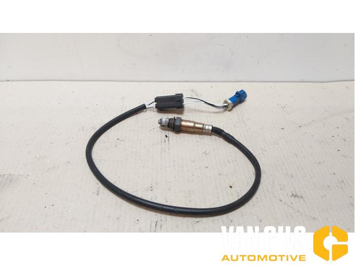 Gebruikte Lambda Sonde Ford Focus 1 1.4 16V Prijs € 20,00 Margeregeling aangeboden door Van Gils Automotive