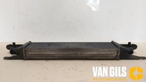 Gebruikte Intercooler Alfa Romeo MiTo (955) 1.3 JTDm 16V Eco Prijs € 30,00 Margeregeling aangeboden door Van Gils Automotive