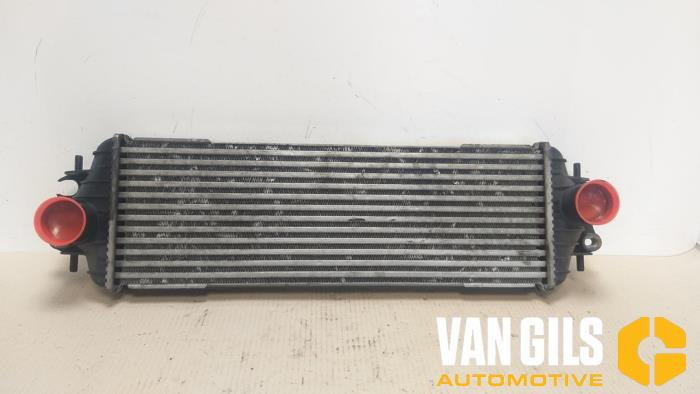 Gebruikte Intercooler Renault Trafic New (FL) 1.9 dCi 82 16V Prijs € 60,00 Margeregeling aangeboden door Van Gils Automotive