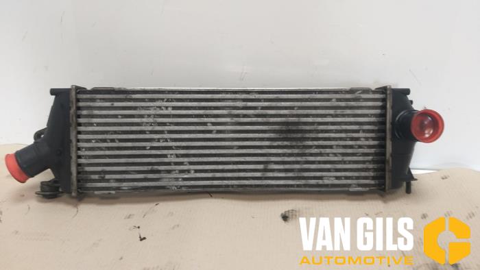 Gebruikte Intercooler Renault Trafic New (FL) 2.0 dCi 16V 90 Prijs € 60,00 Margeregeling aangeboden door Van Gils Automotive