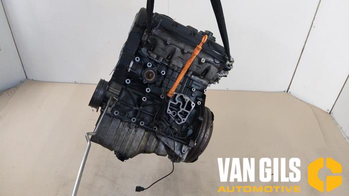 Gebruikte Motor Volkswagen Passat (3B2) 1.9 TDi 115 Prijs € 450,00 Margeregeling aangeboden door Van Gils Automotive