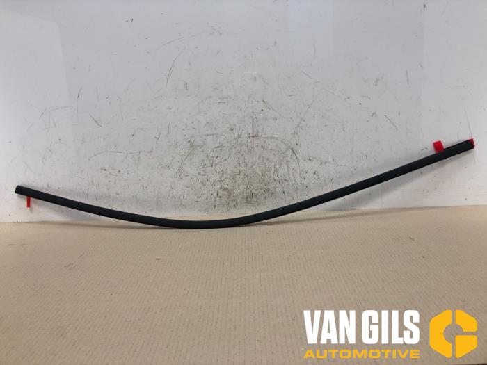 Zierleiste Dodge RAM O217894 - foto 1