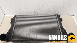 Gebruikte Intercooler Citroen C3 (FC/FL/FT) 1.1 Prijs € 60,00 Margeregeling aangeboden door Van Gils Automotive