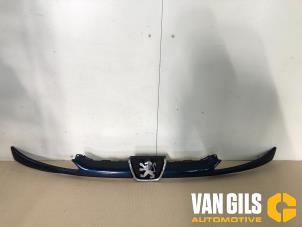 Gebruikte Grille Peugeot 206 (2A/C/H/J/S) 1.4 XR,XS,XT,Gentry Prijs € 30,00 Margeregeling aangeboden door Van Gils Automotive