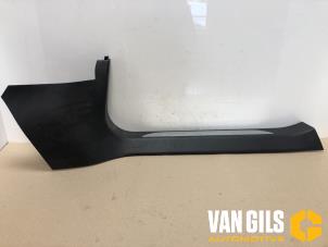 Gebruikte Dorpel rechts Tesla Model S 100D Prijs € 75,00 Margeregeling aangeboden door Van Gils Automotive