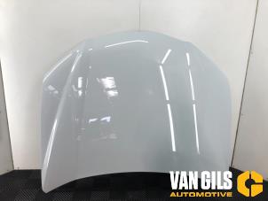 Gebruikte Motorkap Lamborghini Urus 4.0 V8 Prijs € 3.999,99 Margeregeling aangeboden door Van Gils Automotive