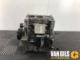 Gebruikte Draaiend Gedeelte motor Volkswagen Polo VI (AW1) 1.0 TSI 12V Prijs op aanvraag aangeboden door Van Gils Automotive