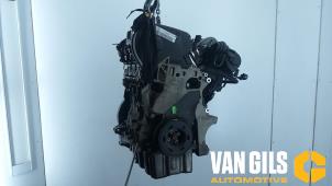 Gebruikte Motor Seat Altea (5P1) 2.0 FSI 16V Prijs € 999,99 Margeregeling aangeboden door Van Gils Automotive