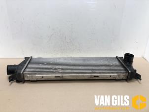 Gebruikte Intercooler Opel Vivaro 2.0 CDTI Prijs op aanvraag aangeboden door Van Gils Automotive