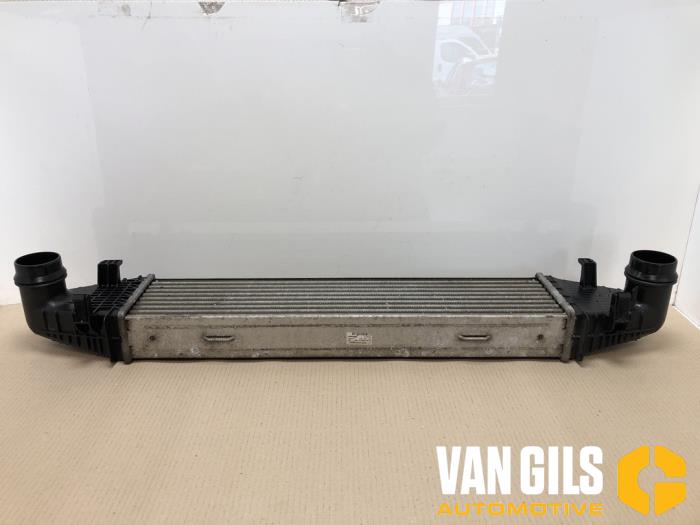 Gebruikte Intercooler Mercedes E (W212) E-200 CDI 16V BlueEfficiency,BlueTEC Prijs € 44,00 Margeregeling aangeboden door Van Gils Automotive